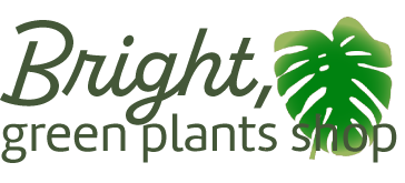 Bright, green plants shopのロゴ