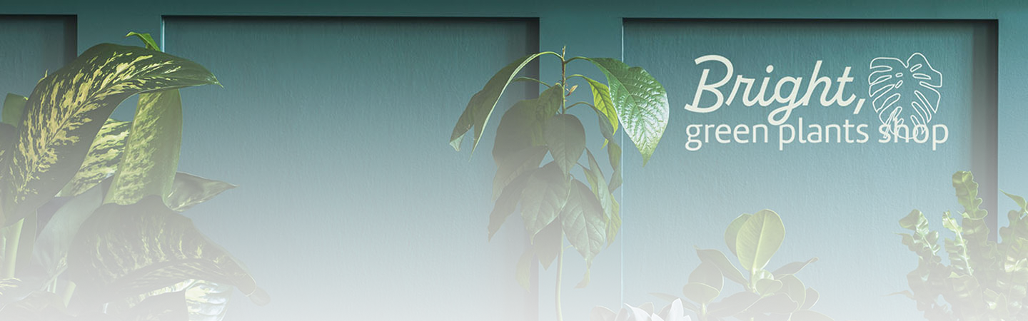 ヘッダーの画像・オンラインの画像