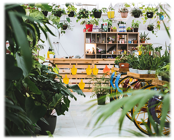 店内のイメージ