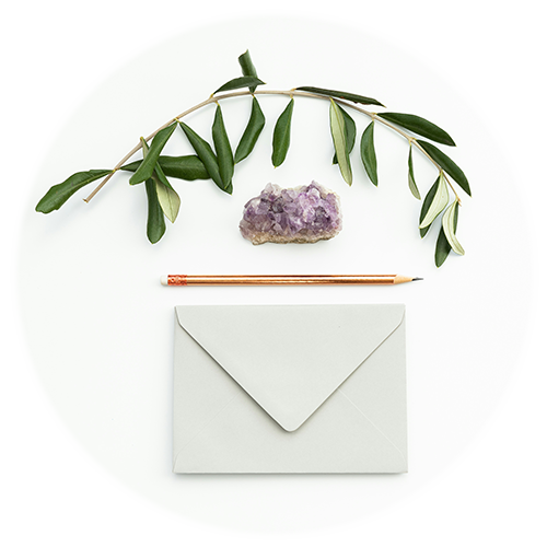 育て方のご案内の画像